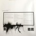 Reflections / Revised 2LP+CD