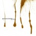 Reflections / Revised CD