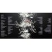 Spirit in Flames LP