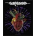 Torn Arteries - PATCH