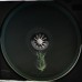 Henbane CD