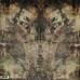 Ylem 2LP