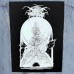 The Lone Pines of The Lost Planet - BACKPATCH