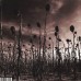 Anastasis 2LP