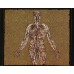 Dead Dawn CD