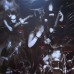 Soulskinner LP