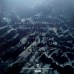 Dystopia LP