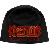 logo / Pleasure To Kill - BEANIE