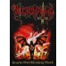 Scarlet Evil Witching Black - TS