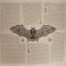 Ordinary Man LP