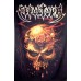 Beneath The Remains - FLAG