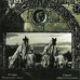Old Mornings Dawn CD