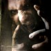 The Beast CD